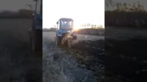 Трактор беларусь