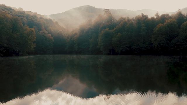 Relax Music. Успокаивающие звуки природы, плеск воды горного озера, пение птиц. смотреть онлайн