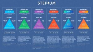 Школа Светланы Мигаль. Stepium - лучший инструмент заработка в Интернете