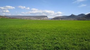 Крым. Гора Крокодил.