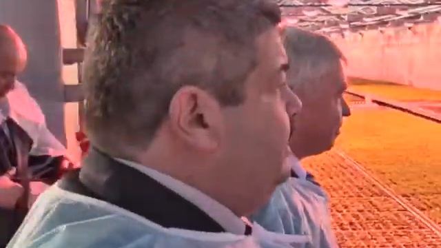 Дачные Советы - открытие теплиц ОАО "Тепличный".avi смотреть онлайн