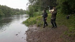 Рыбалка спиннингом на горбушу тасман (дьявол)