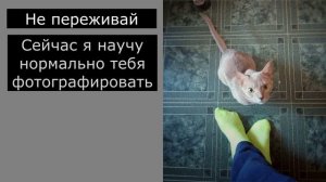 Криворукий фотограф и его кот. Кот учит хозяина фотографировать красиво. Смешная чат-переписка