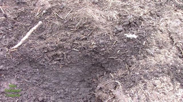 КАК СДЕЛАТЬ ГРУНТ ДЛЯ РАССАДЫ ДЁШЕВО СВОИМИ РУКАМИ//МОЯ ЛЮБИМАЯ УСАДЬБА смотреть онлайн