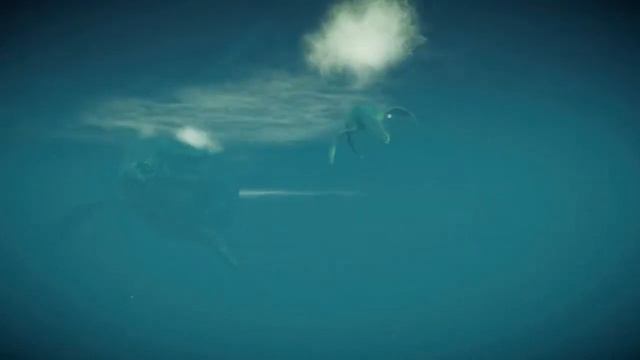 Мозазавр гофмана.