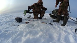 Рыбалка на Белом море
