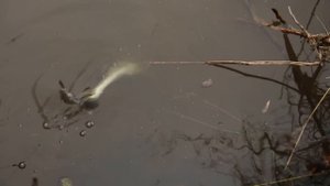 Джиг на Москве-реке поздней осенью. Андрей Питерцов и Артем Мишин.