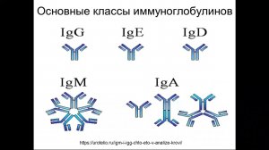 МЕТОДЫ ИММУНОХИМИИ В КОЛИЧЕСТВЕННОМ АНАЛИЗЕ «БИОМОЛЕКУЛ» В БИОХИМИИ, БИОТЕХНОЛОГИИ И МЕДИЦИНЕ, ИФА
