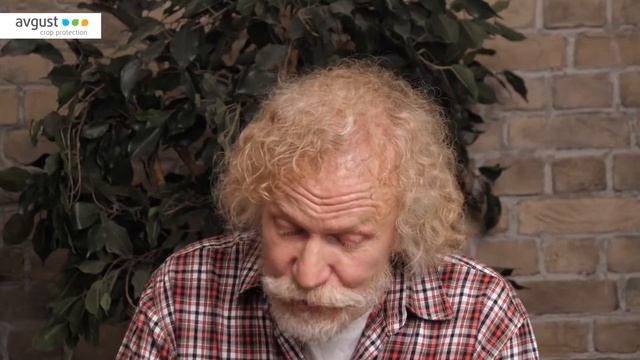 Чистоцвет для защиты цветов от болезней. Инструкция и особенности применения