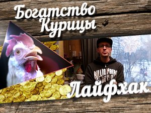 Богатство Курицы: Лайфхак. Как варить винт