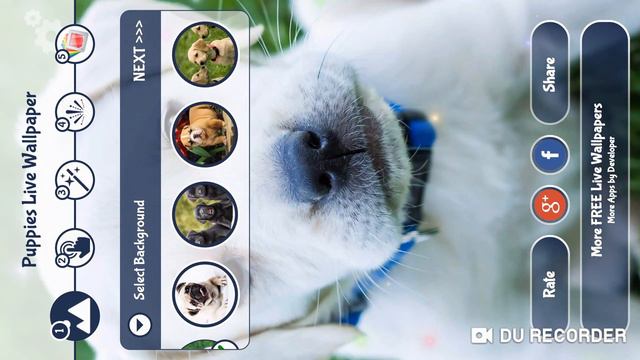 Puppies Live Wallpaper смотреть онлайн