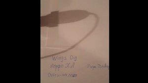 Как определить качество племенной пчеломатки