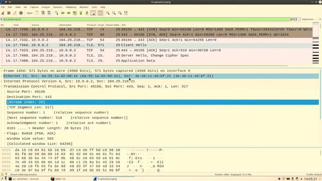 SF19US - 09 TLS debugging (Peter Wu) смотреть онлайн