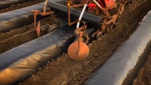 Плёнкоукладчик.Формирование гряды.Гряды мотоблоком.Посадка клубники.