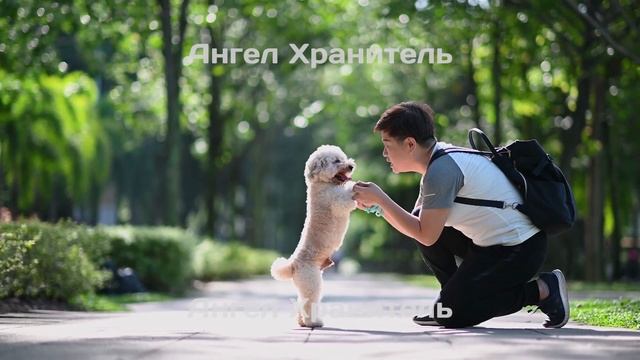 Ванга назвала 3 знака Зодиака которых охраняют самые добрые ангелы смотреть онлайн