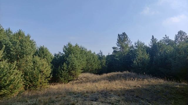 Стрижка волос привлечет счастье, достаток и благополучие. Лунный календарь стрижек на февраль 2022.