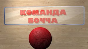 Кадры жизни. Команда БОЧЧА