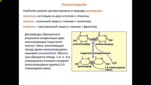 Урок биологии №2 Классификация углеводов: моносахаридов, дисахаридов, полисахаридов.