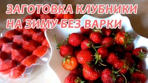 Как заморозить клубнику на зиму в холодильнике. Заготовки из клубники / как морозить клубнику?