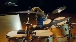 Кролик барабанщик 2 х ф  Бунт ушастых