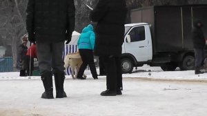 Моно среднеазиатских овчарок, 25.01.15 г., г. Тула