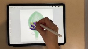 Рисую скетч артишок на планшете в Procreate. Пошаговый урок диджитал рисования на Айпаде Online