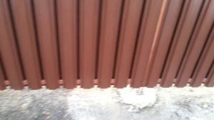 Распашные ворота с калиткой из евроштакетника