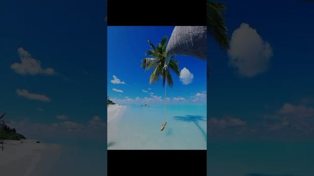 Утро на Мальдивах | Morning in the Maldives #shorts #nature #природа #Мальдивы #Maldives