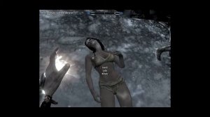 Skyrim fun