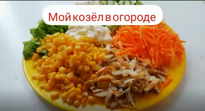 Салат "Козел в огороде".