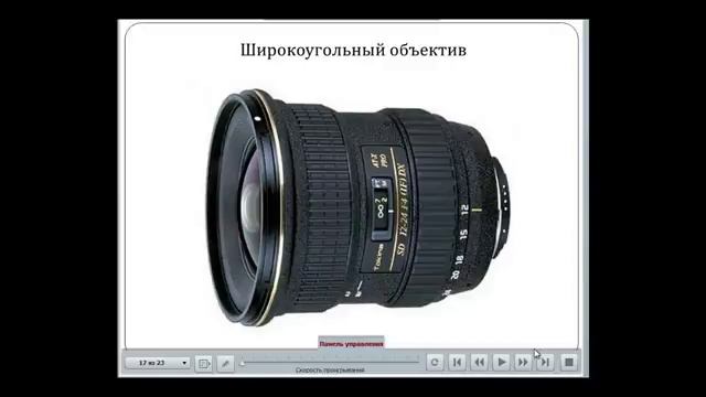 photoschool, Фото школа, Съемка животных. Часть 1.