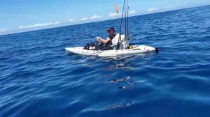 Kayak Marlin South West Rocks March 2021