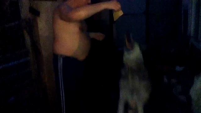 Надолго ли собаке блин? смотреть онлайн