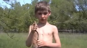 Меня кусала гадюка