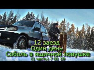 12 заезд Один день Соболь в ящичной ловушке (1 часть) 7 01 19
