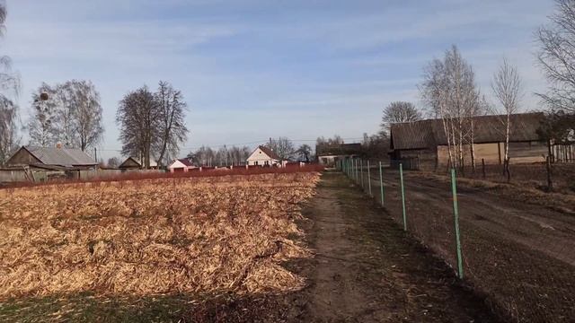 Голубика 15.01.2020 смотреть онлайн