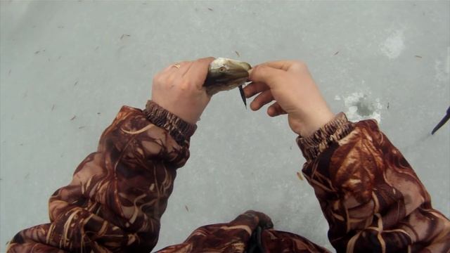 Ловля на балансиры смотреть онлайн