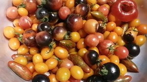 Маринованный черри с виноградом