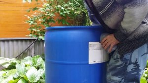 Простой септик в одну бочку для кухни на даче #недолгодумая