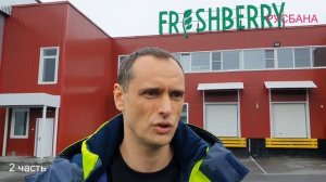 Производство по переработке дикоросов ФРЕШБЕРРИ | Современные условия рынка диких ягод