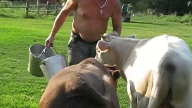 Александровка 4 смотреть онлайн