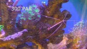 Часть 9 Свет в морском аквариуме.