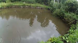 Рыбалка в СОБСТВЕННОМ ПРУДУ !!!! СРАЗУ 2 КАРПА ????  ПОПЛАВОЧНАЯ ЛОВЛЯ !!!