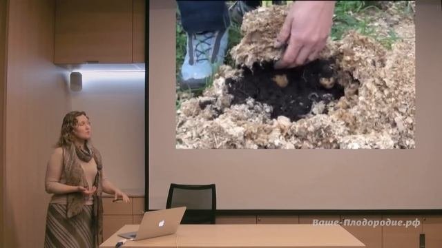 Картофель. Хороший урожай при минимальных затратах