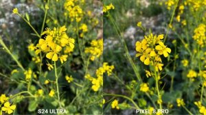 Samsung Galaxy S24 Ultra VS Google Pixel 8 Pro Camera Comparison