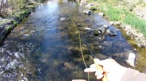 Рыбалка на Салгире. Ловим голавля на нахлыст