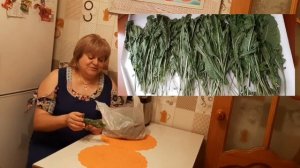 +Радикулит, лечение за 3 дня. Ванна из листьев хрена.