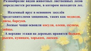 Экологический час «Лес наше богатство»