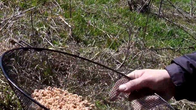 р.Аксай. Тарань. смотреть онлайн