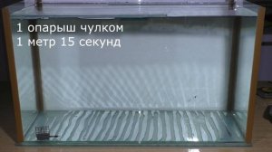 Рыболовные знания. Время падения насадки.